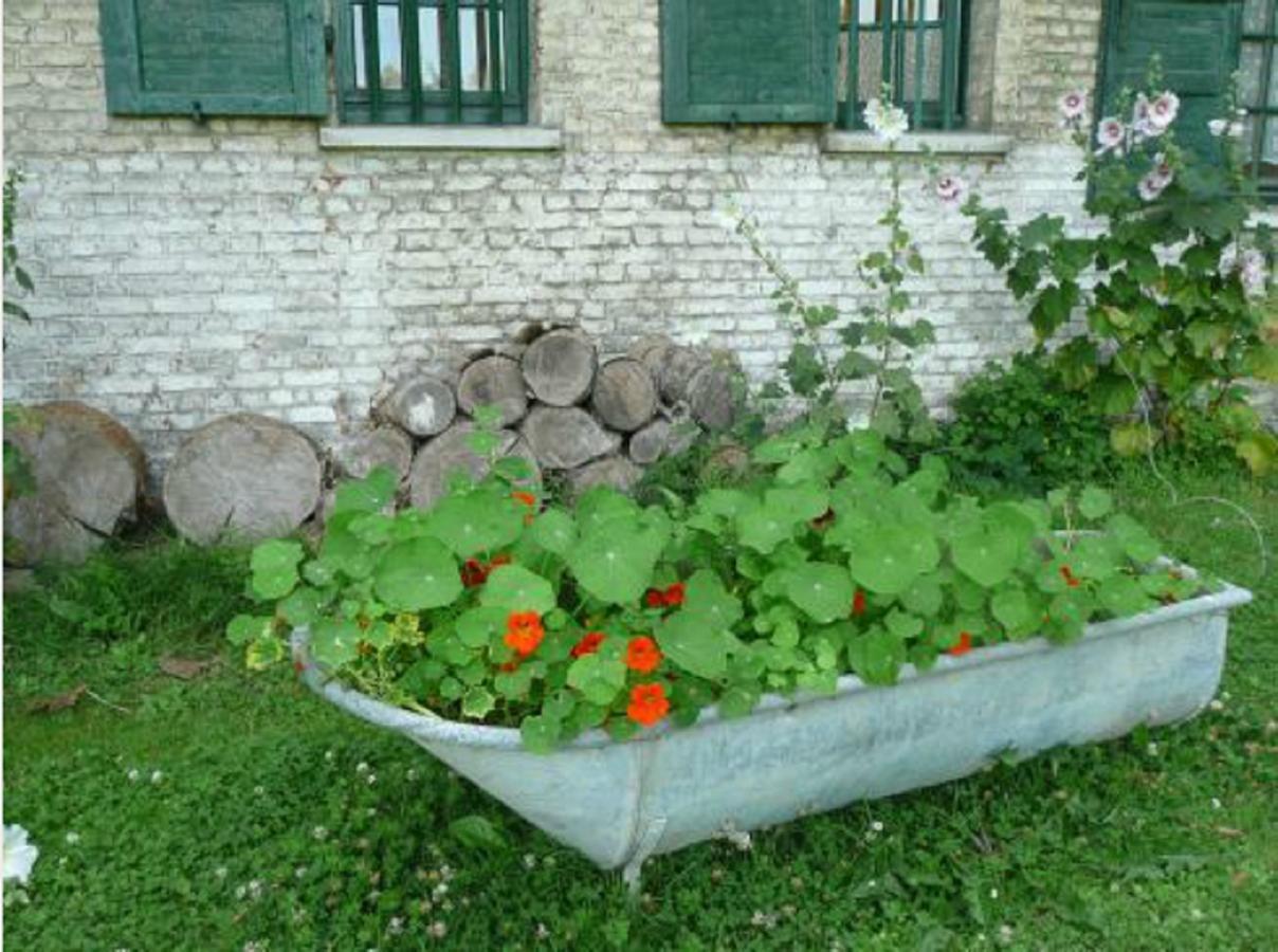 Manoir De Bois En Ardres Bed and Breakfast Esterno foto