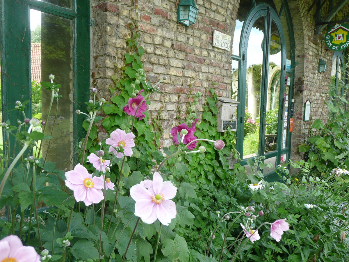 Manoir De Bois En Ardres Bed and Breakfast Esterno foto