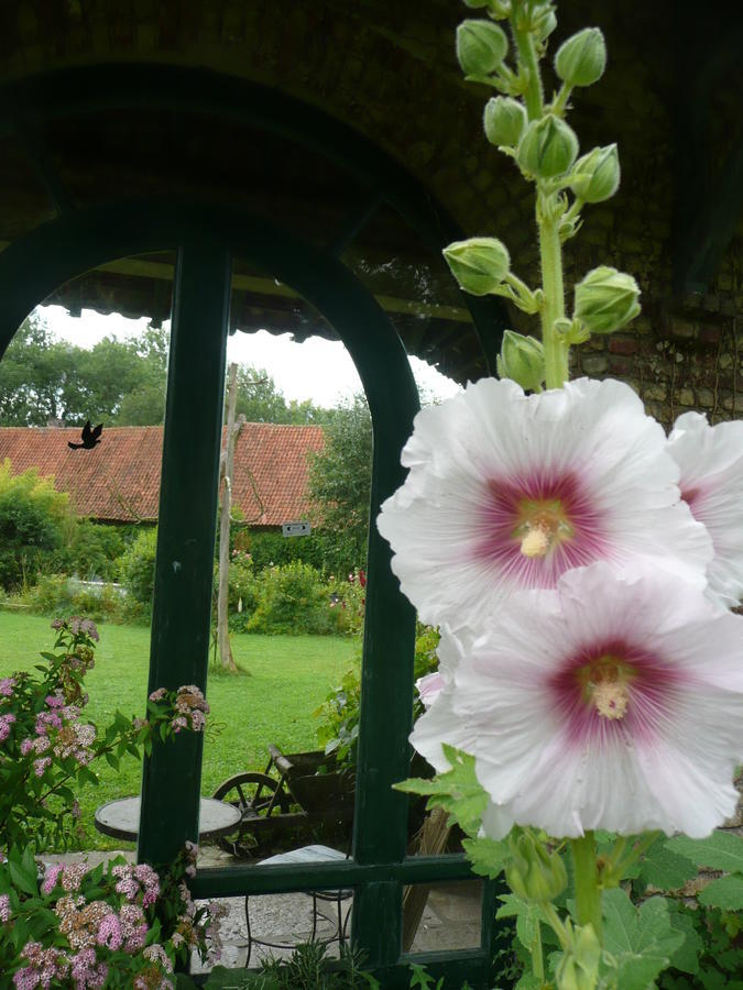 Manoir De Bois En Ardres Bed and Breakfast Esterno foto
