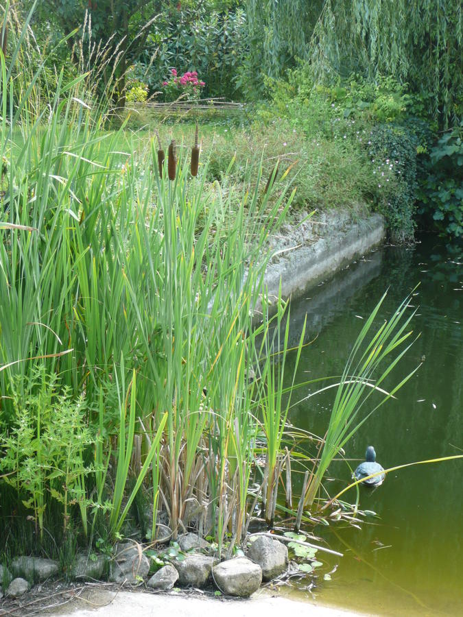 Manoir De Bois En Ardres Bed and Breakfast Esterno foto
